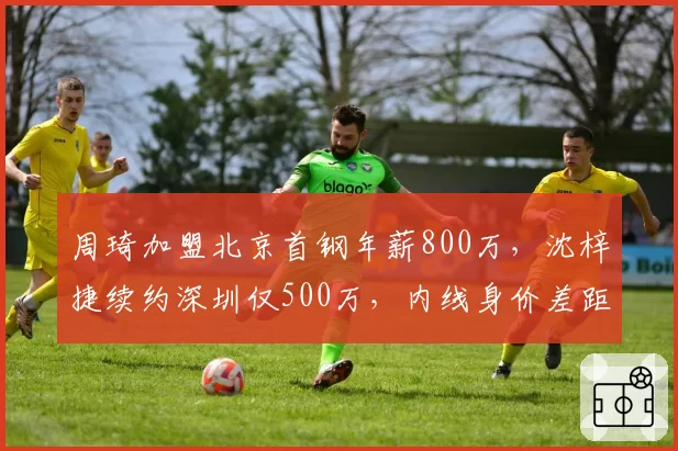 周琦加盟北京首钢年薪800万，沈梓捷续约深圳仅500万，内线身价差距悬殊