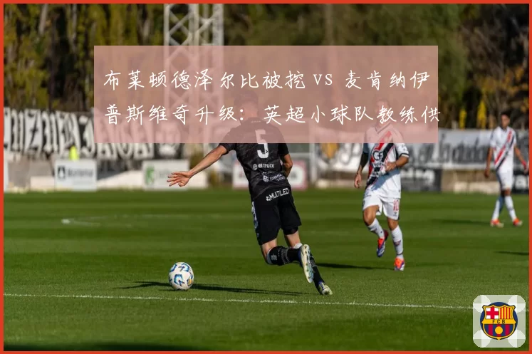布莱顿德泽尔比被挖 vs 麦肯纳伊普斯维奇升级：英超小球队教练供应链的断裂与新生