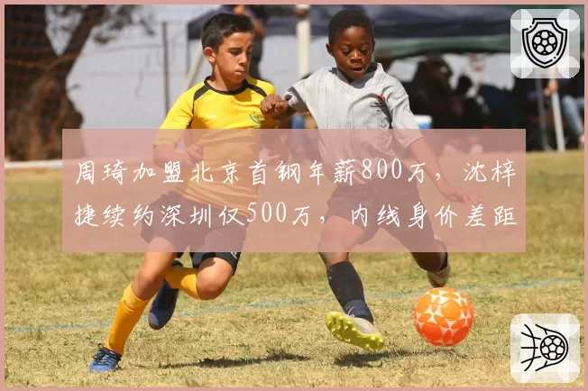 周琦加盟北京首钢年薪800万，沈梓捷续约深圳仅500万，内线身价差距悬殊