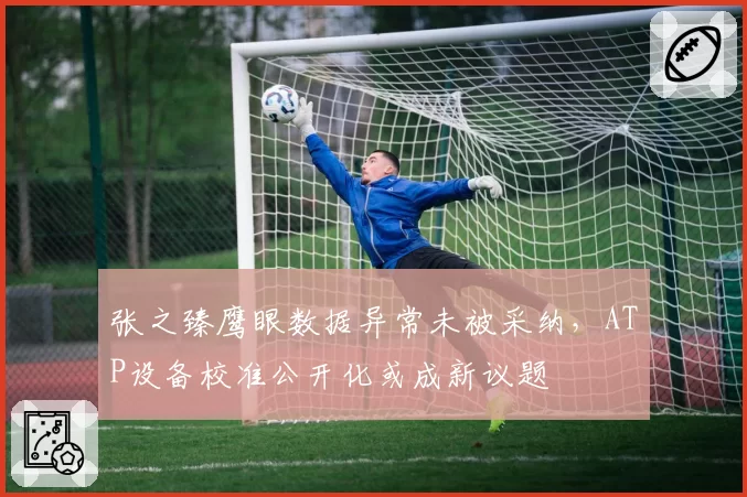 张之臻鹰眼数据异常未被采纳,ATP设备校准公开化或成新议题